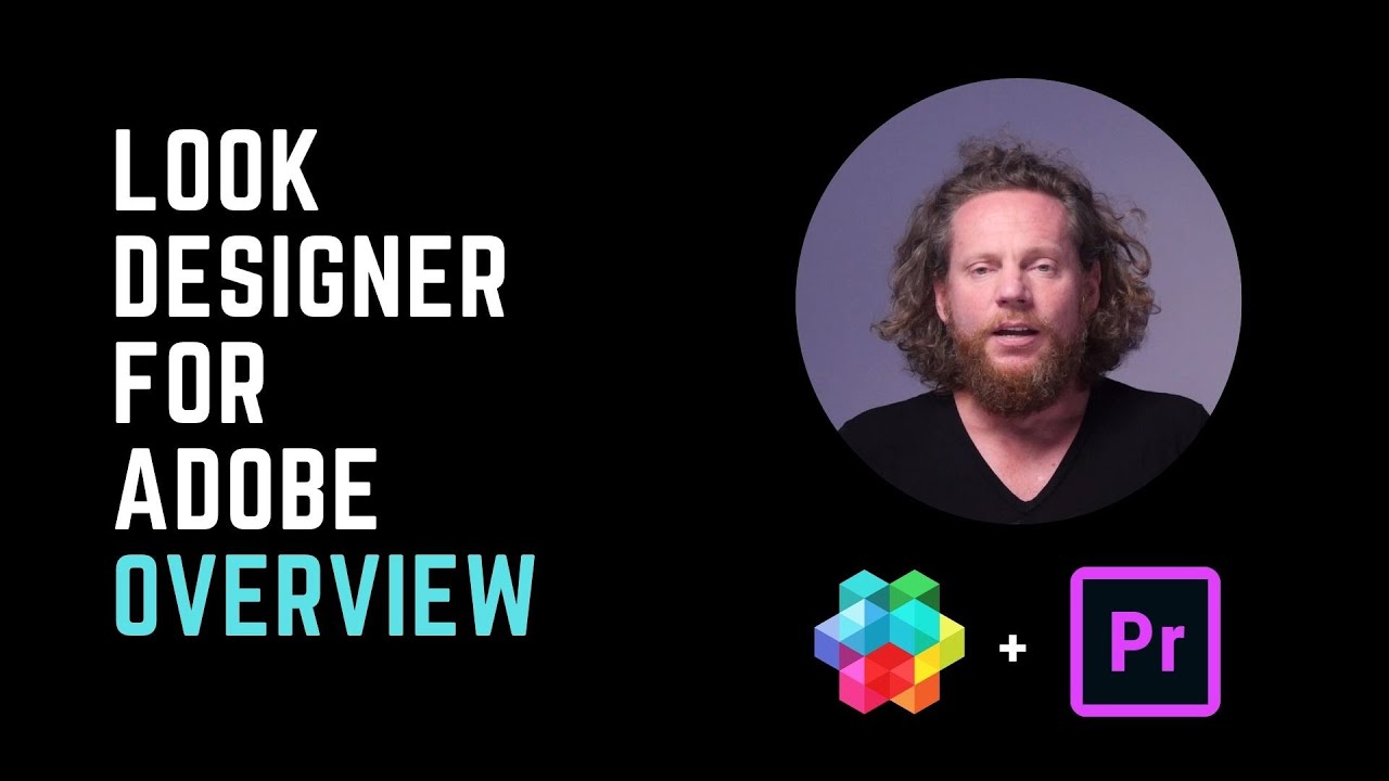 Look Designer for Adobe Premiere - Overview