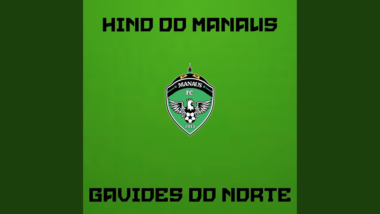 HINO MANAUS