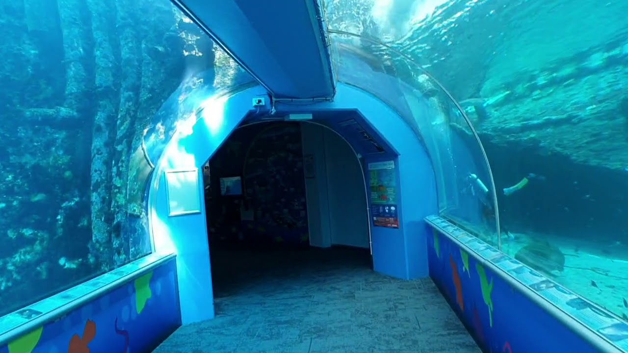 visit to Reef HQ
