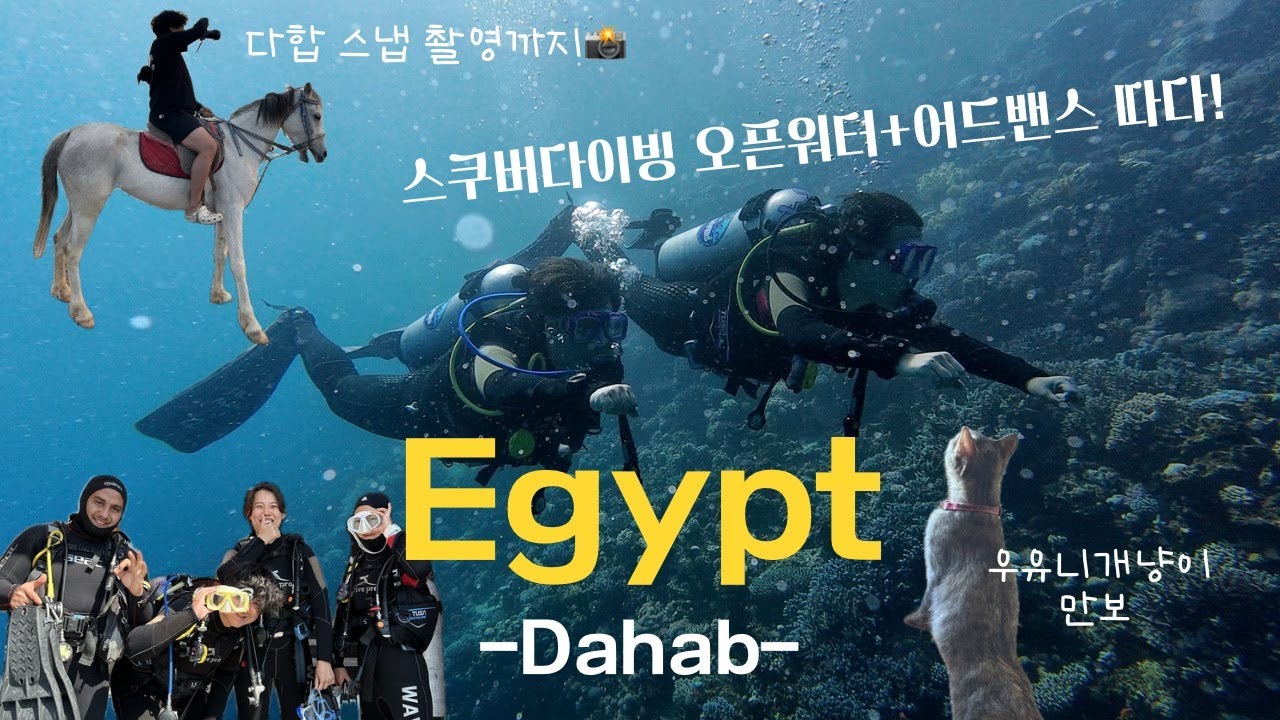 [세계여행-다합🇪🇬] 겁쟁이였던 내가 다이버라니.. 어드밴스 합격기 & 스냅까지 찍느라 바쁜 다합일상