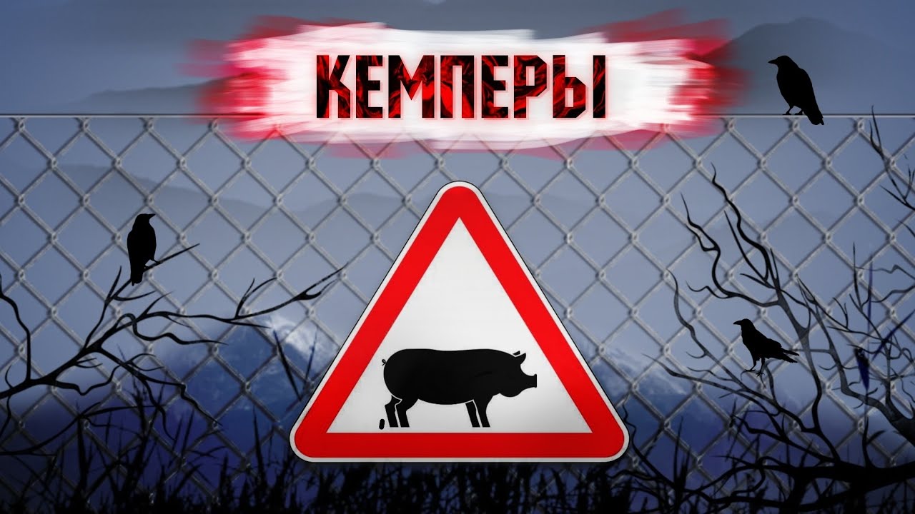 Как Бороться с КЕМПЕРАМИ в C.A.T.S?