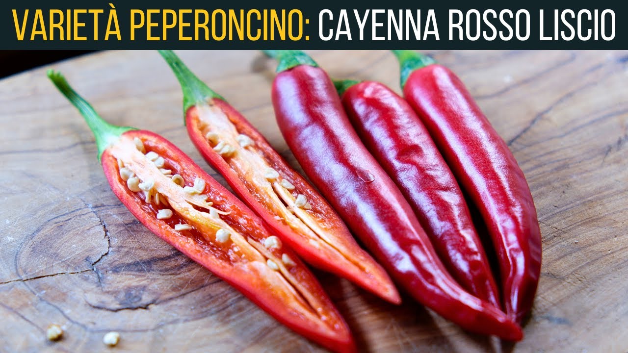 Cayenna rosso liscio🌶 | Episodio 2 | Food Stories