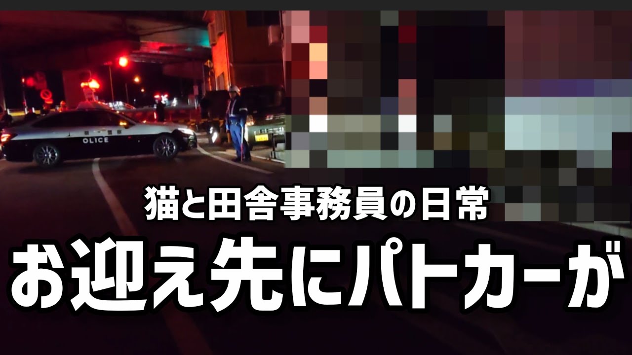 【平日Vlog】猫と暮らす50代独身事務員の、リアルな日常【金◯キラキラ金曜日まで生きる】