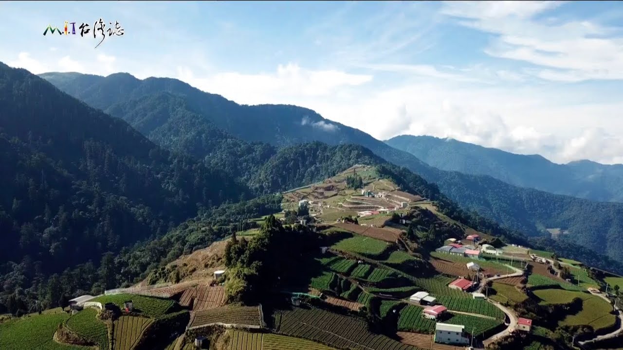 20190526【875】MIT台灣誌 一場山林大火過後 被火紋身的黑色雪山