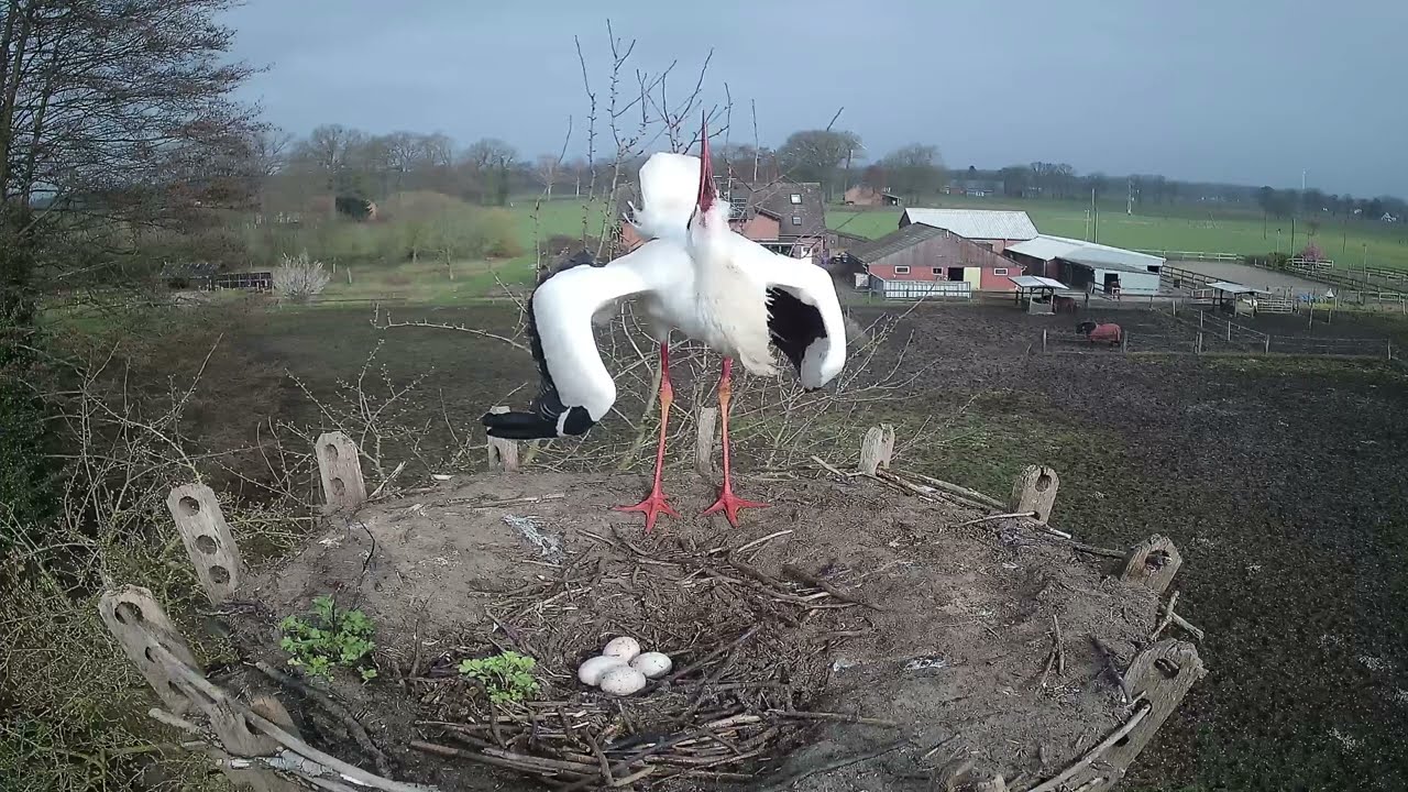 Jetzt wird aufgeräumt