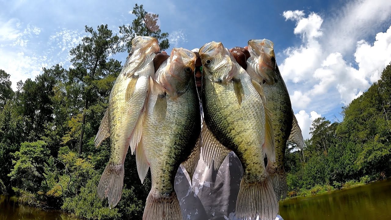 Chasing School Of Super Sized Crappie In Open Water!