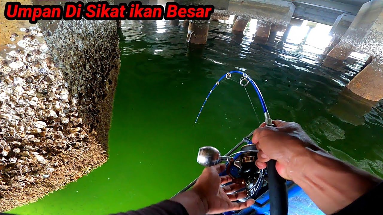 Siapa Saja Pasti Panik, Umpan Baru Sampai Dasar Langsung Di Sikat ikan Besar