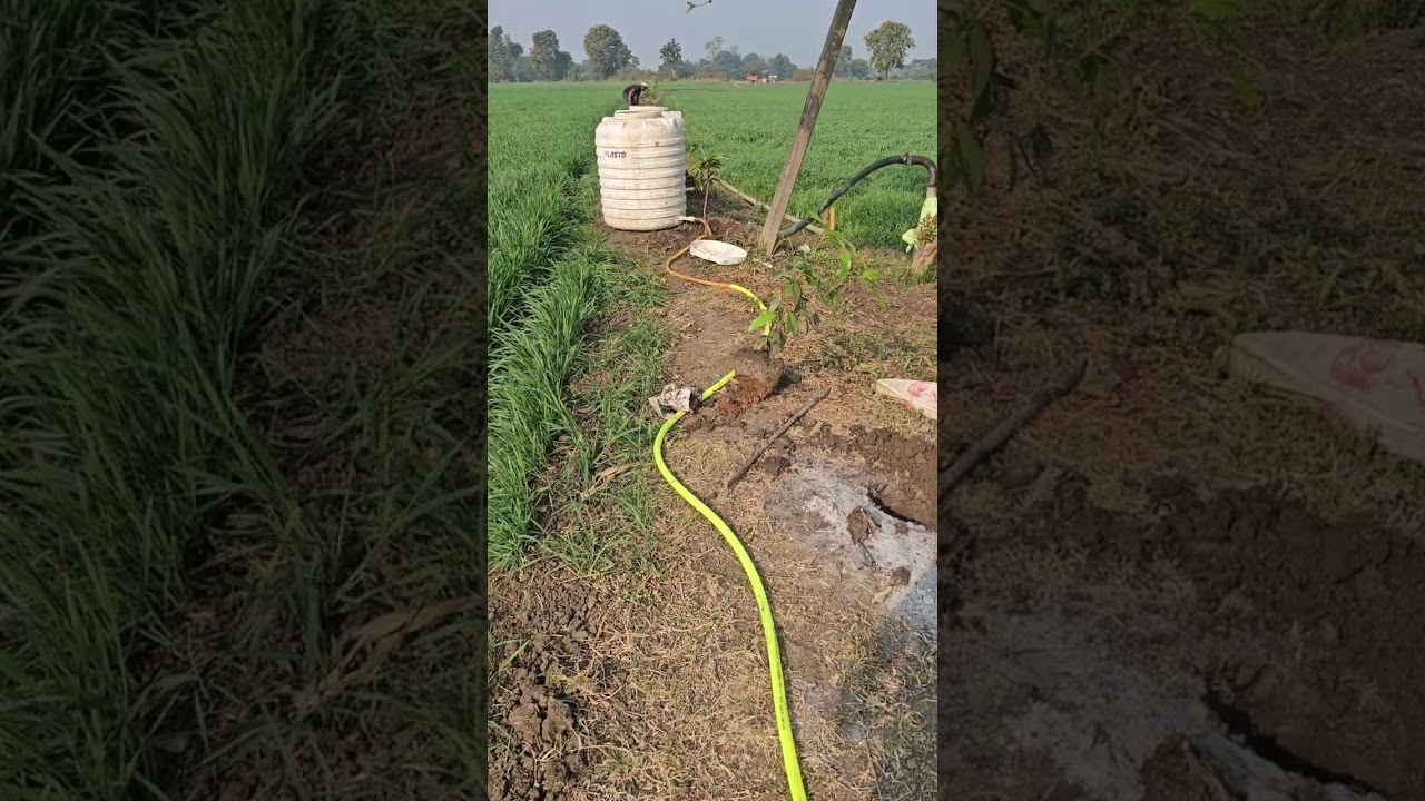 एक पहल पौधारोपण की और #horticulture #farming #agriculture #trending #farminglife 