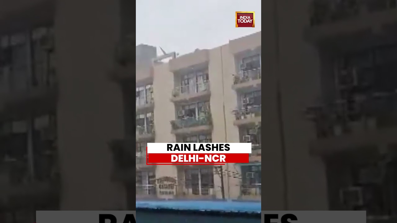 Delhi Weather: Rain Brings Relief To Delhi-NCR As Showers Lash Greater Noida West #shorts