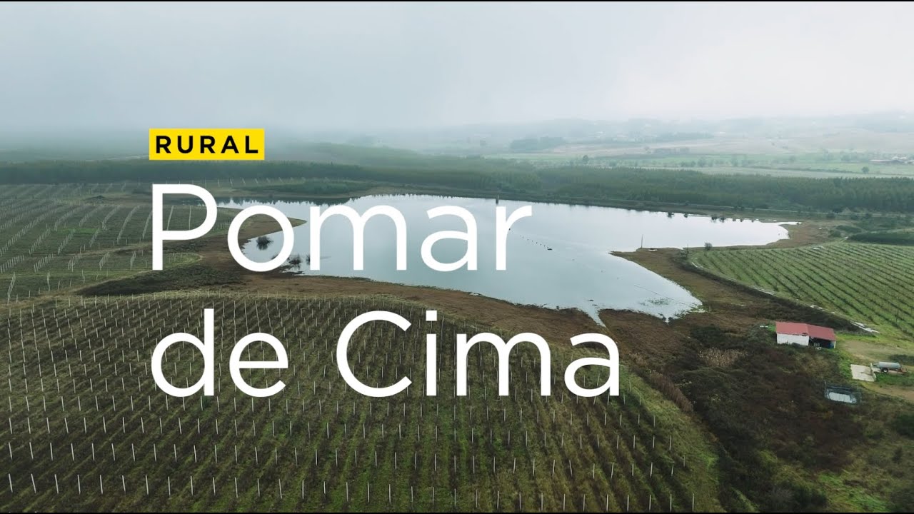 Savills Rural | Pomar de Cima