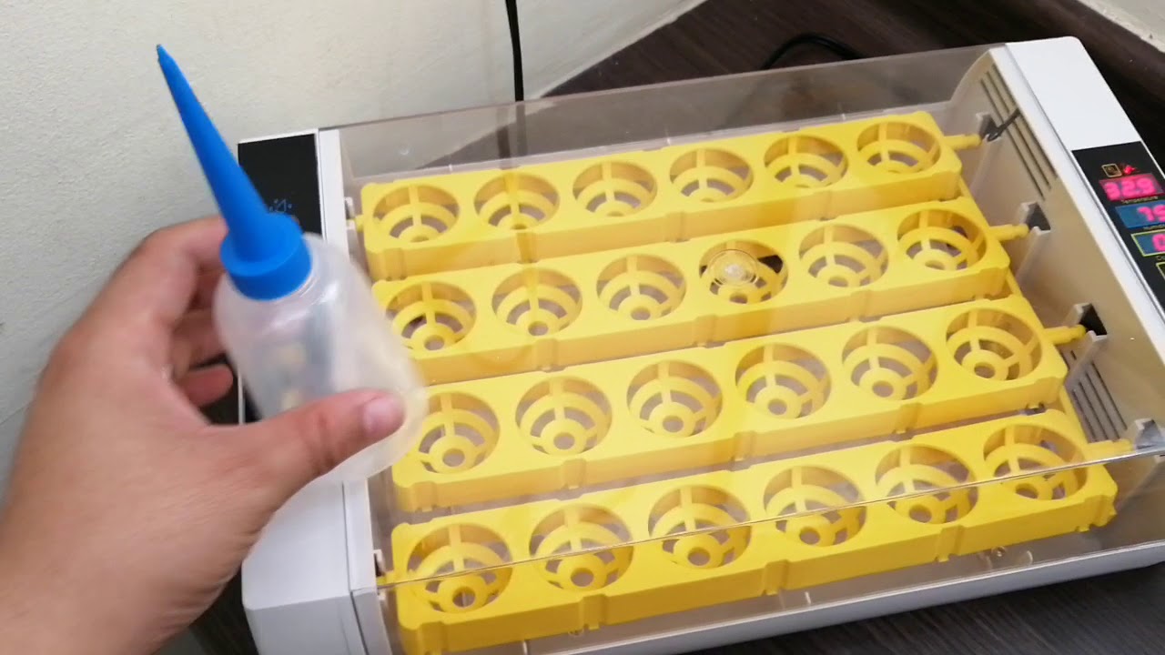 Como Usar la Incubadora de 24 huevos Autom&aacute;tica