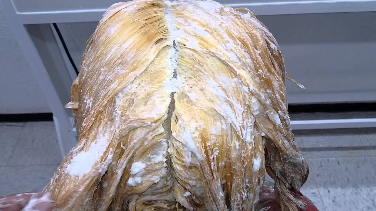 Colorimetría TOTAL - Como realizar una decoloración SIN maltratar el cabello virgen. Parte 1