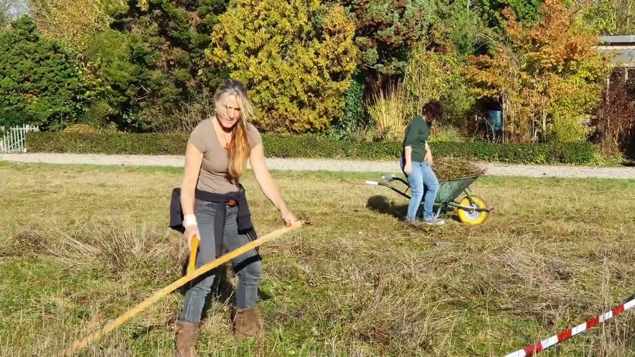 Maaien met de zeis bij Tuinwijck 2022