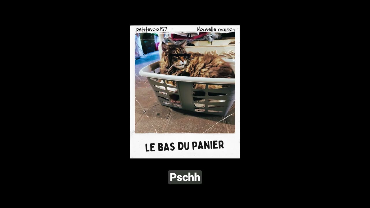 petitevoix157 - Le bas du panier