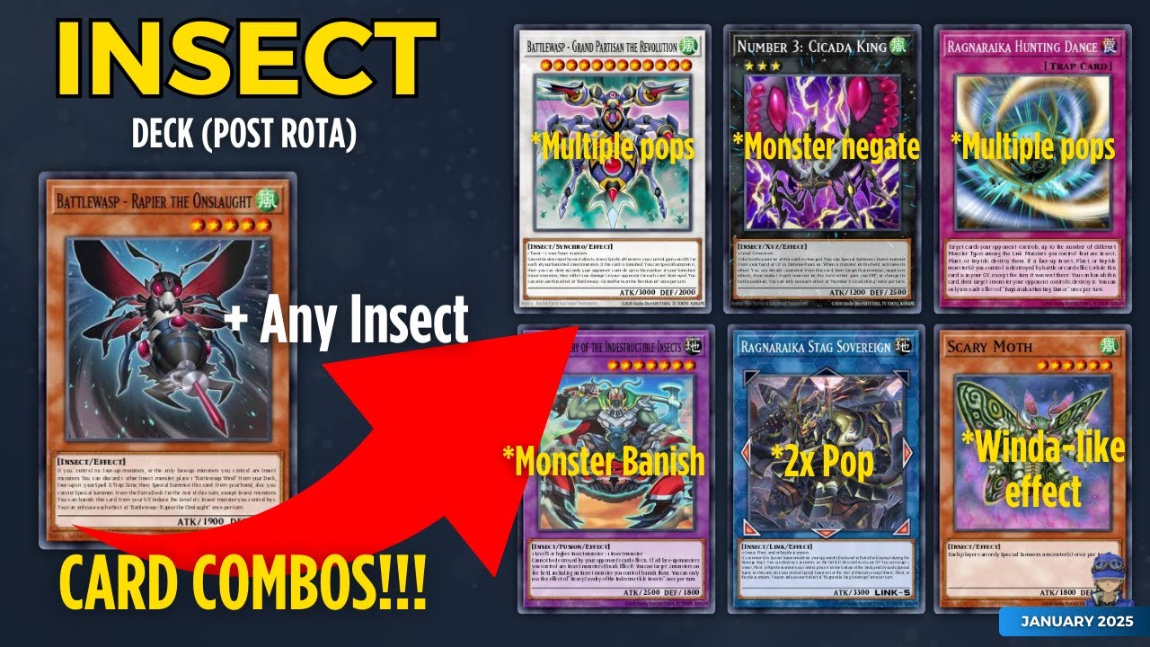 INSECT DECK CARD COMBOS POST ROTA! [COMBO VIDEO] [JANUARY 2025]