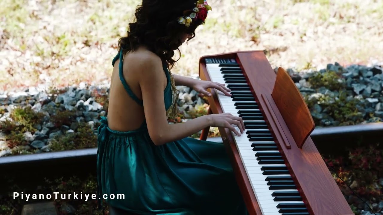 ShallReich SRP-100 Dijital Piyano