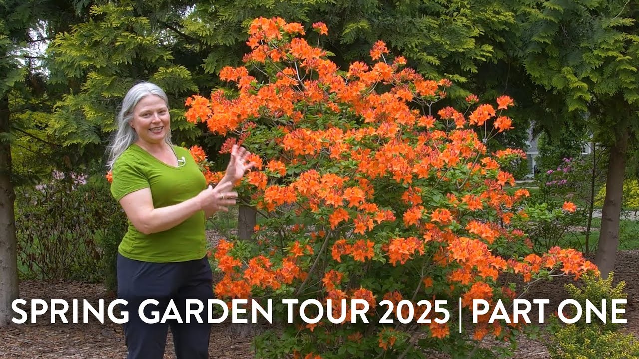 Spring Garden Tour 2025 | Part One