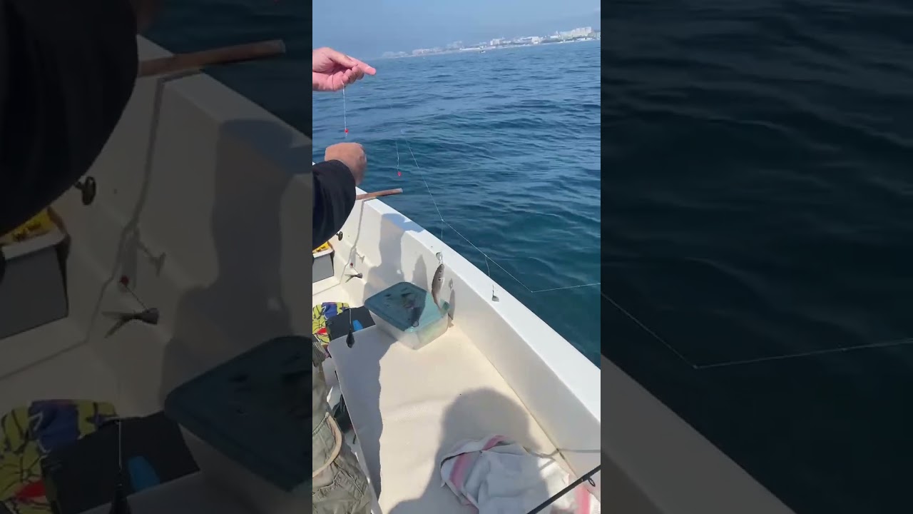 Рыбалка в Сочи. Ловим мерланга. #рыбалка #fishing #fish #рыболовныйгид #рыба #морскаярыбалка #рыбак