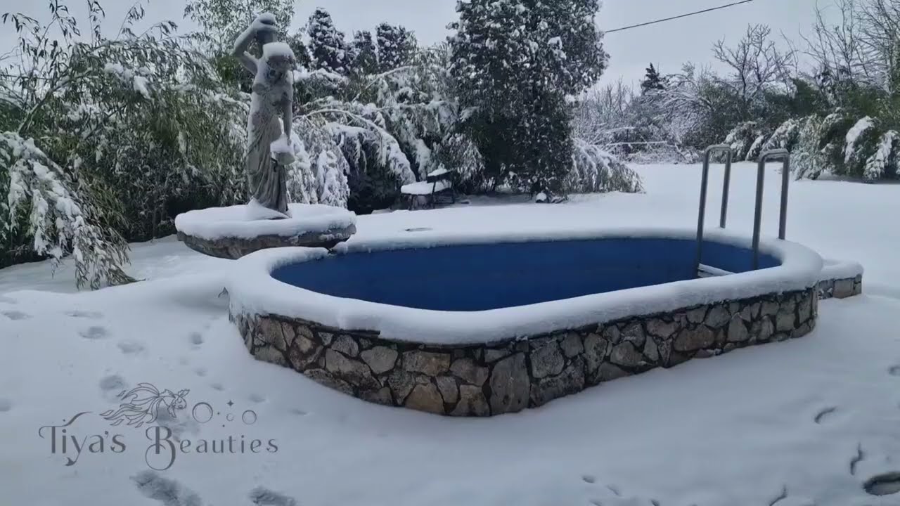 Temperature Check
