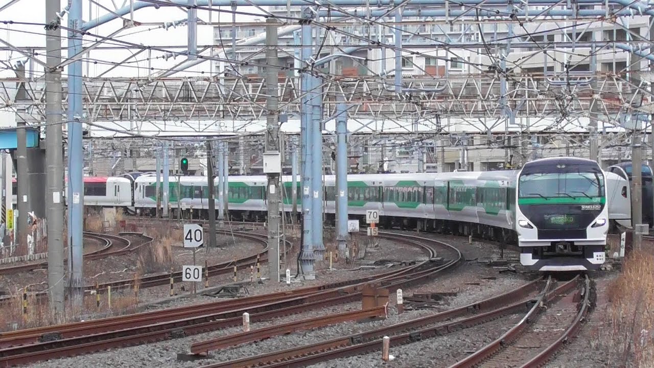 【東海道線】E257系5000番台　特急踊り子51号～56号　2023年2月
