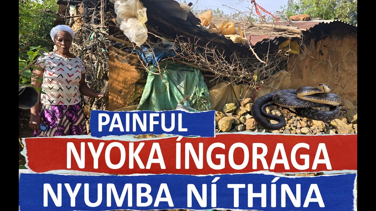 NYOKA ÍNGORAGA NYUMBA NÍ THÍNA