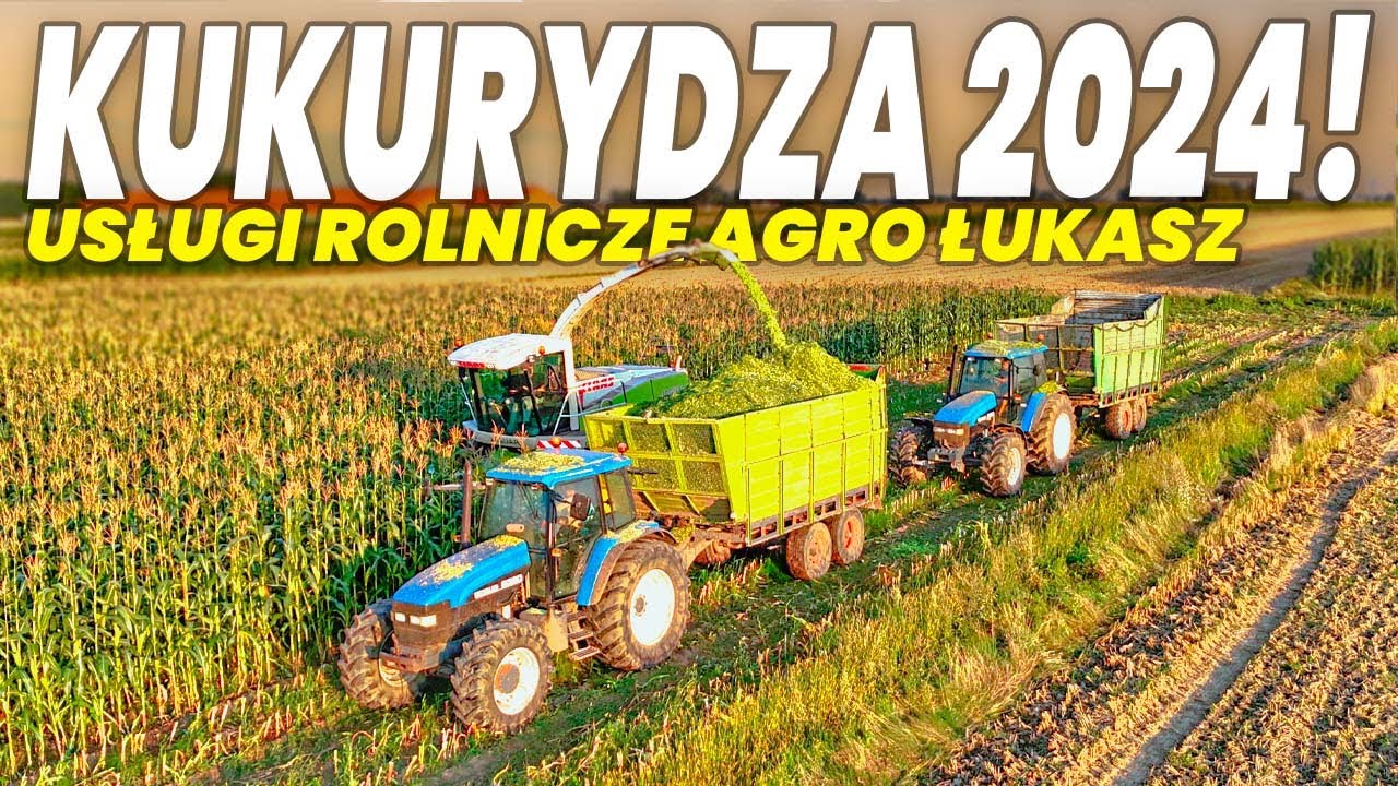🇵🇱Kukurydza 2024 ☆ 2x New holland & Class Jaguar 870 ☆ F.H.U AGRO-ŁUKASZ 519 312 522