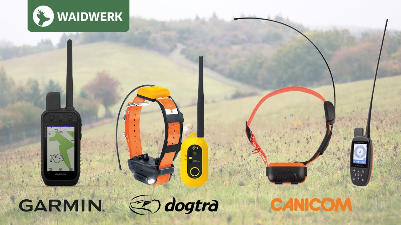 Hundeortung – Garmin, Canicom und Dogtra im Vergleich