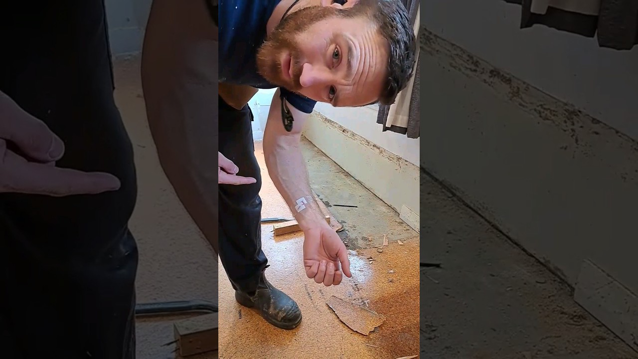Demolish a kitchen with me