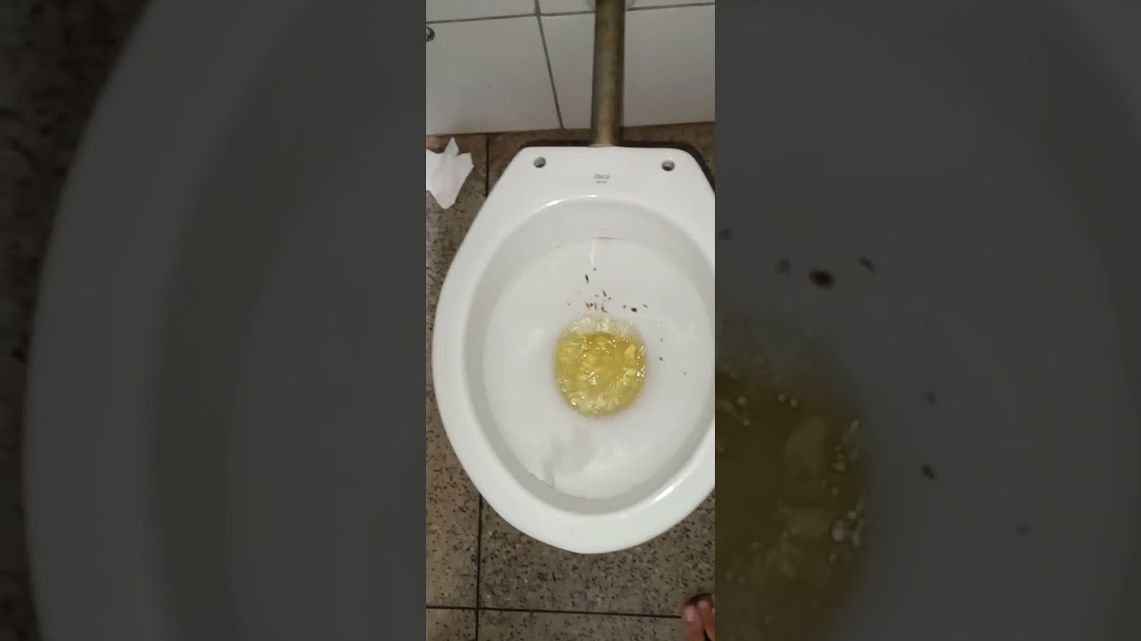 vasos sanit&aacute;rios Deca izy 6.0lpf 2017 e pia &ocirc;nix diva 2022 #banheiros #toilets