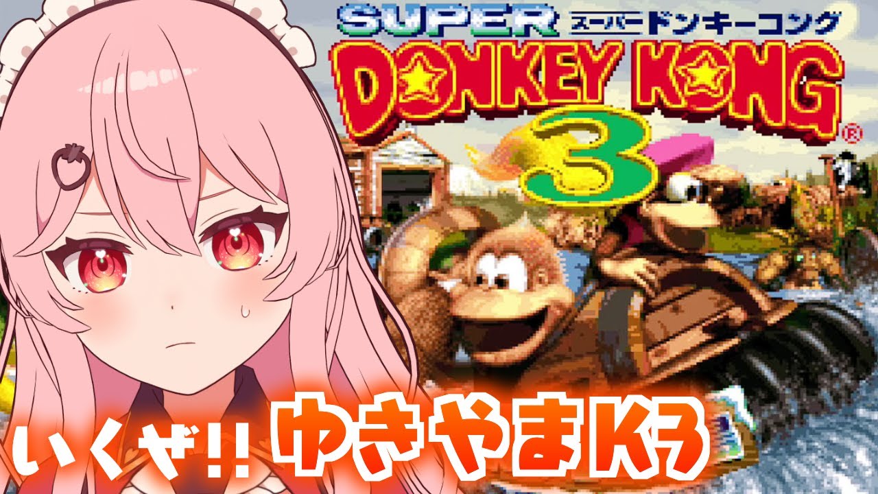 【スーパードンキーコング3】ボーナス全回収！5面の雪山いくぞおおおお！！！【あまりめい / SUPER DONKEY KONG 3】