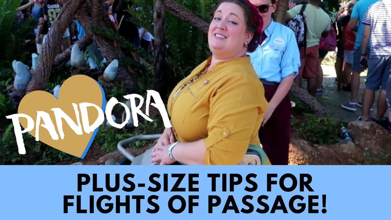 Worried about not fitting on Flight of Passage?  Here are some tips!