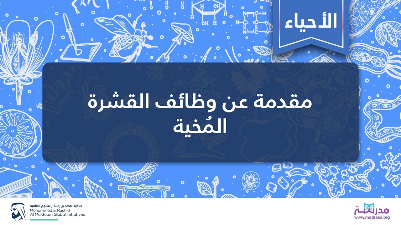 مقدمة عن وظائف القشرة المُخية | الأحياء | علم الأحياء البشري