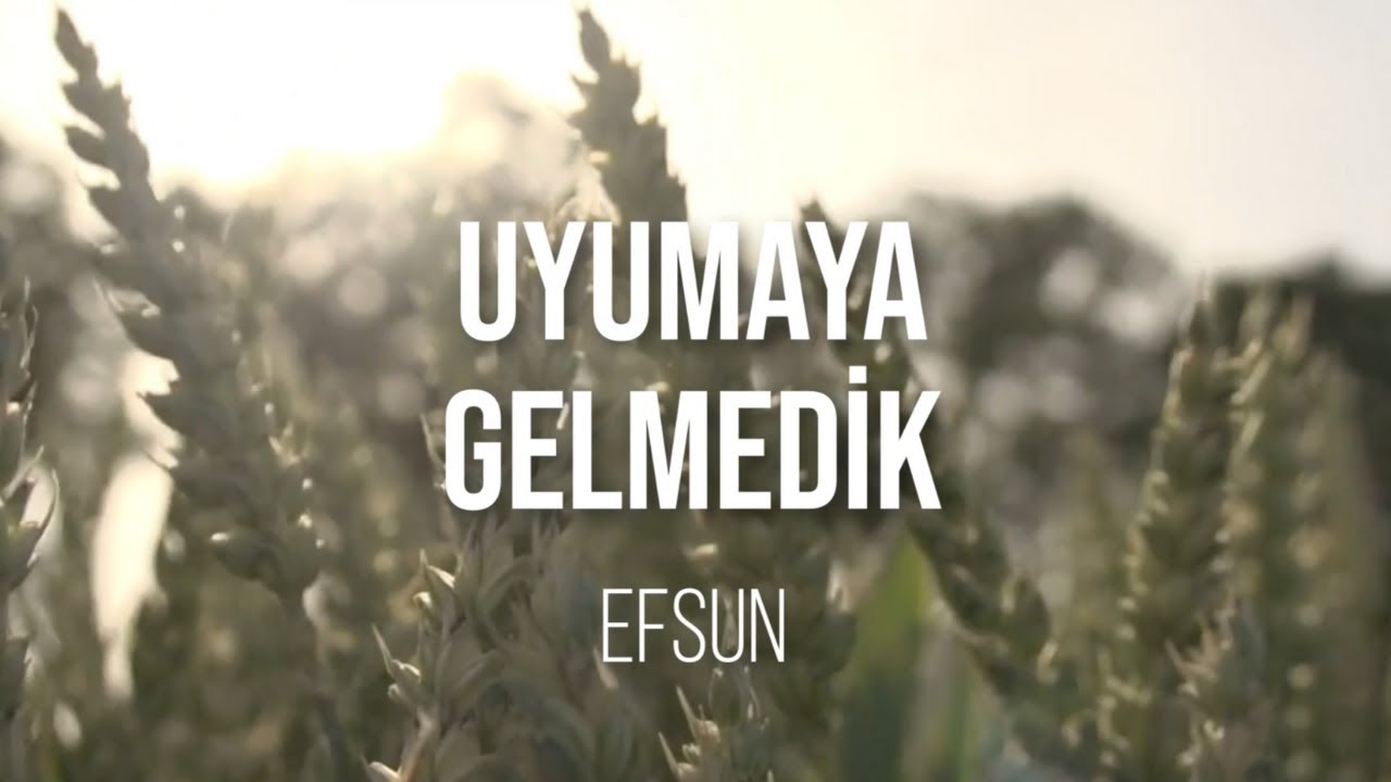 Efsun - Uyumaya Gelmedik (Lirik Video)