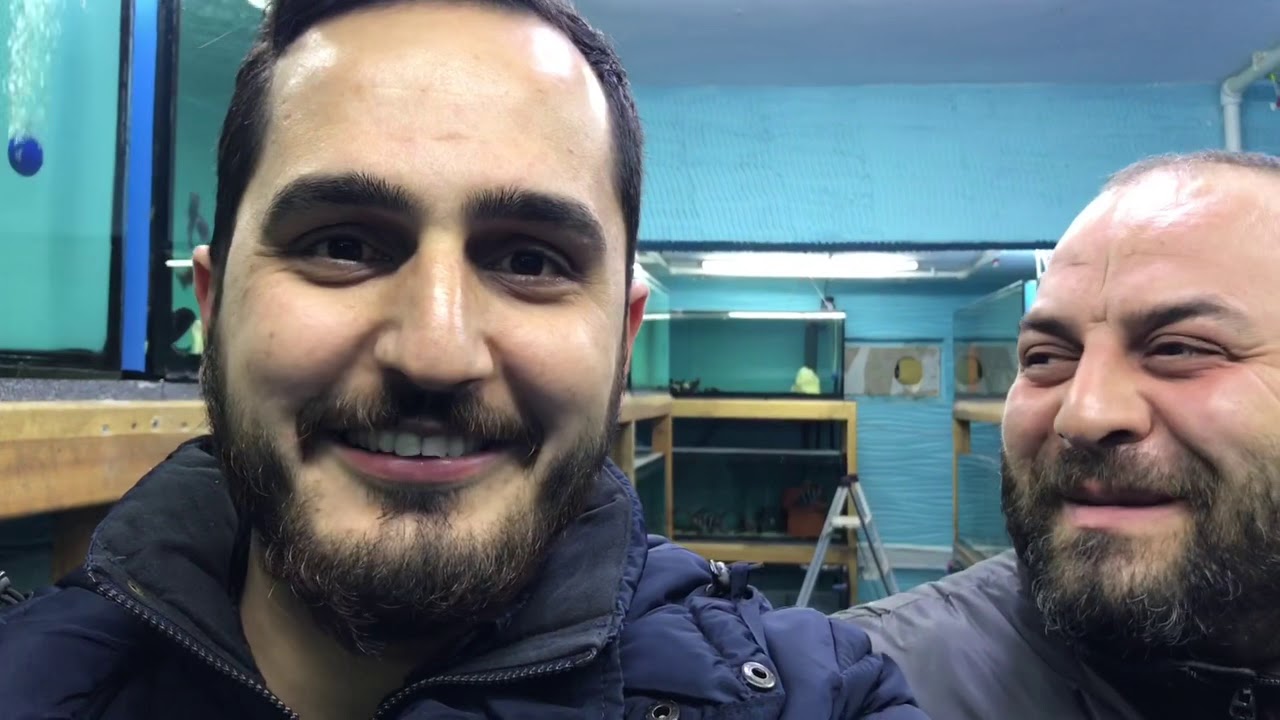 ENFA BALIK ÜRETİMİ GEZDİM-ENES KARDEŞİMLE KEYİFLİ BİR AKŞAM
