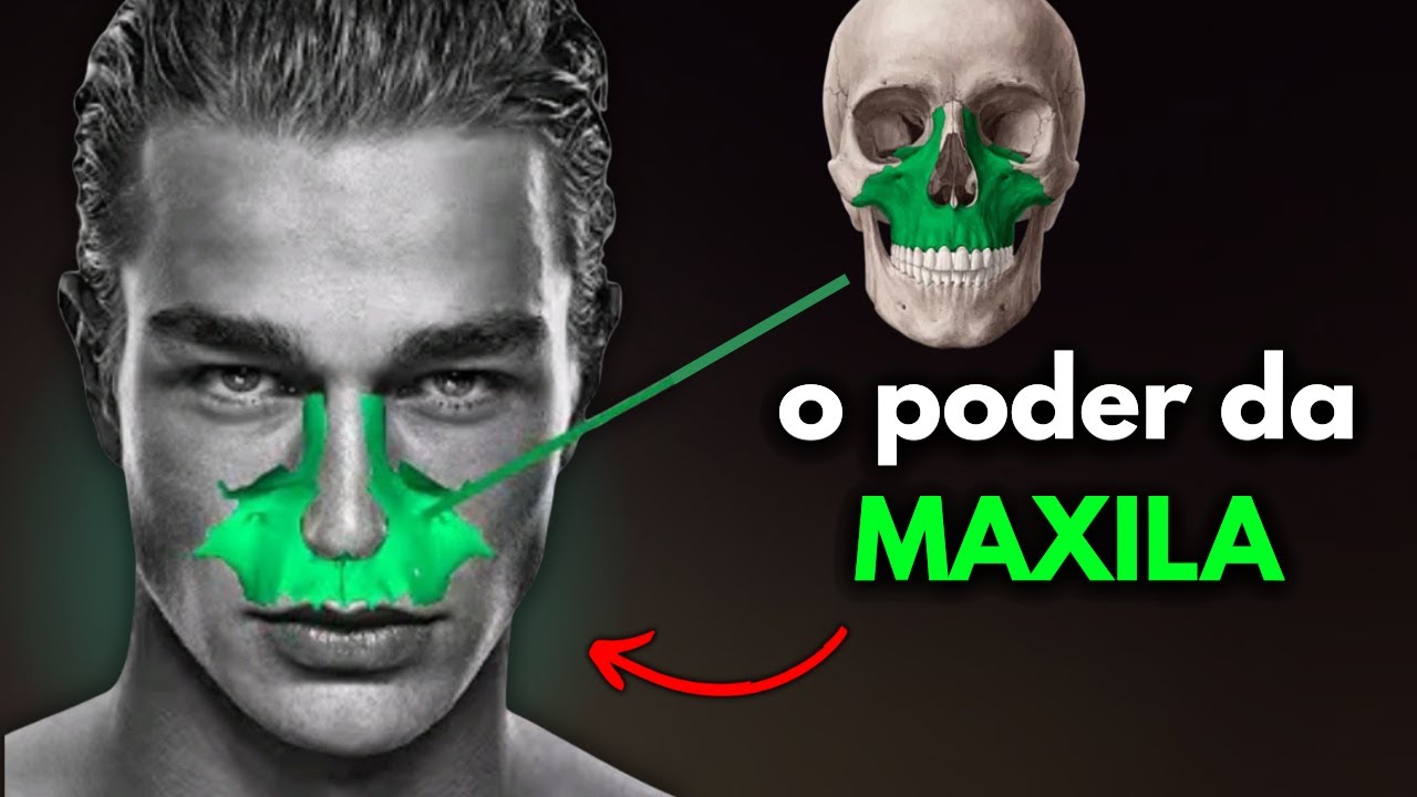 O osso que define a sua aparência | Por que a MAXILA é tão importante