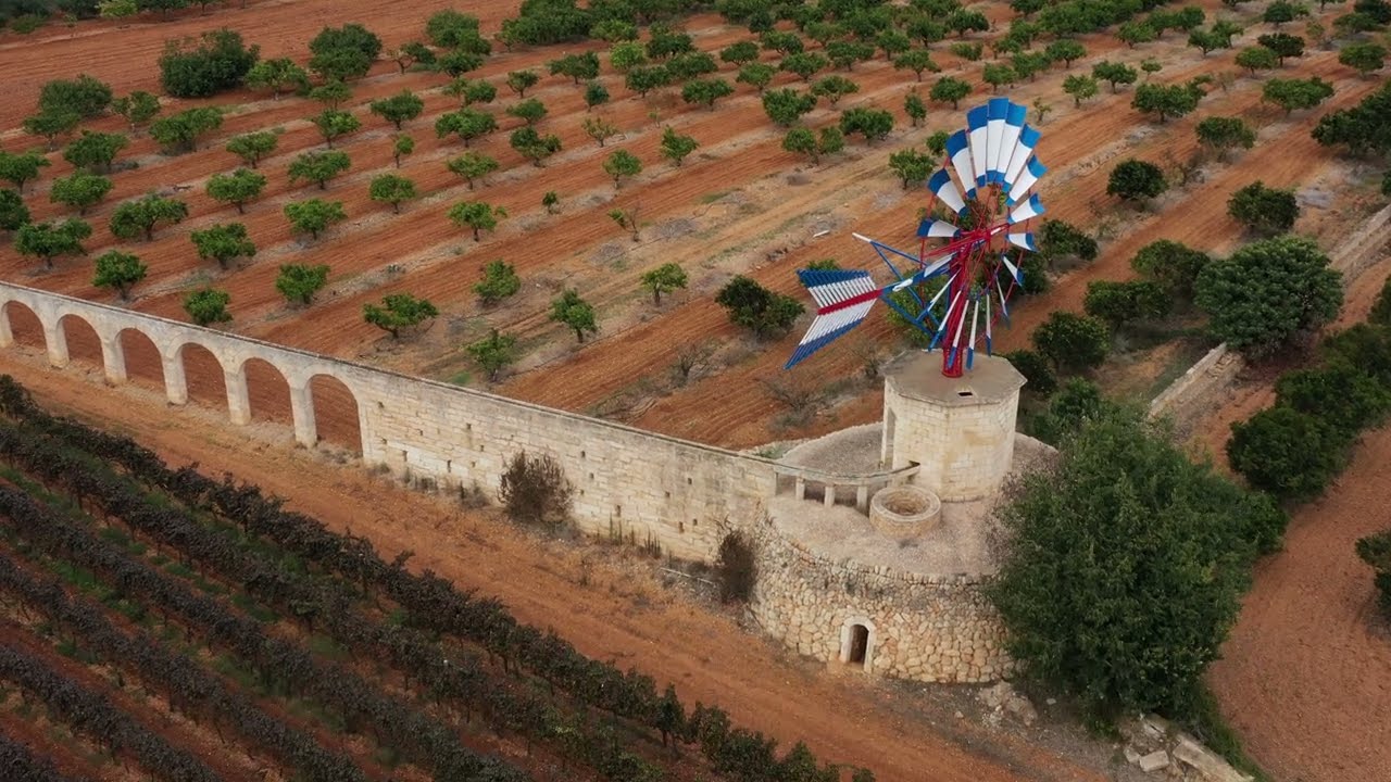 Mallorca - das Weingut Son Ramon - gegründet 1649 liegt zwischen Llubí & der Gemeinde Muro - 10.2025
