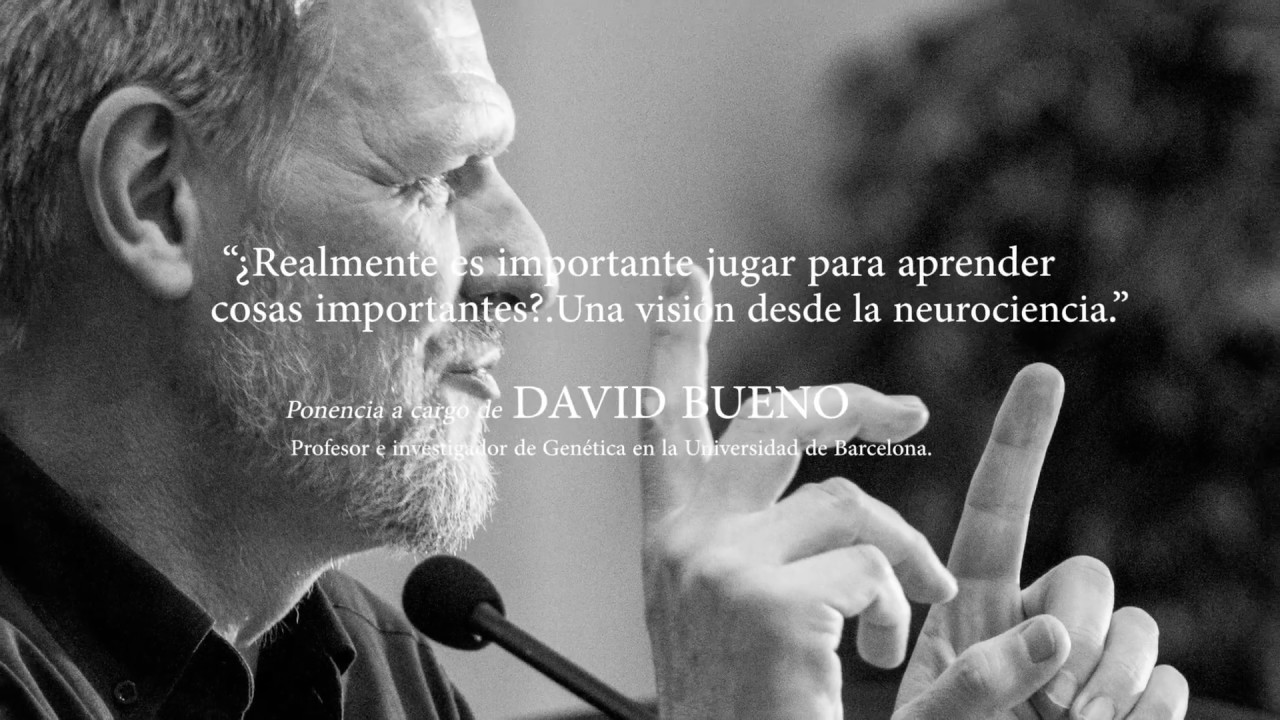 X CONGRESO AMEIGI. PONENCIA David Bueno