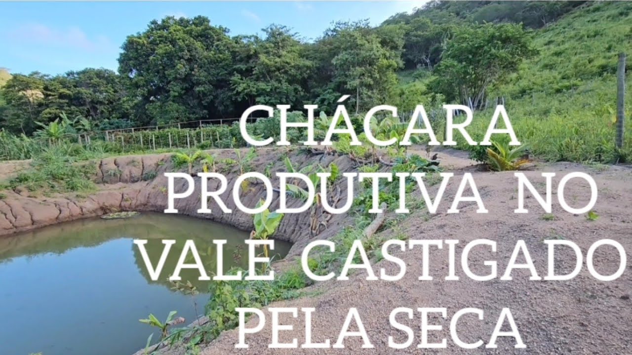 Vale do Jequitinhonha 