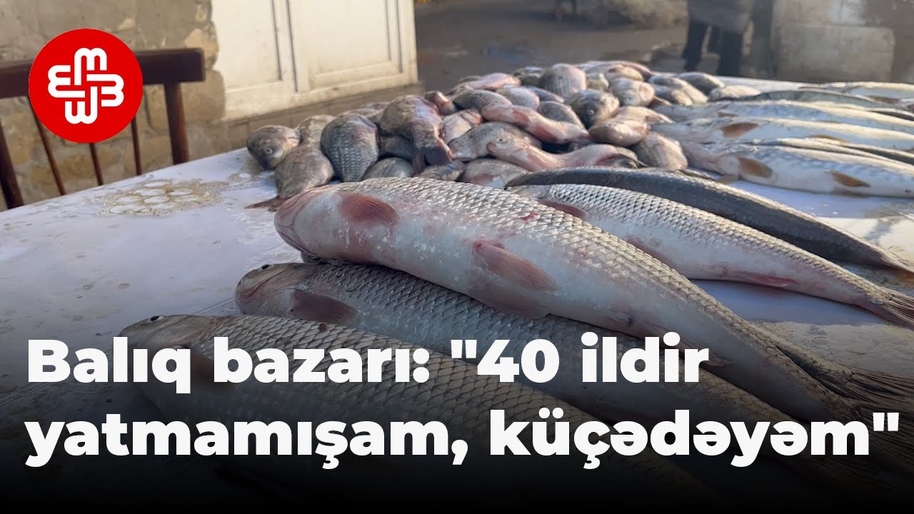Balıq bazarı: 