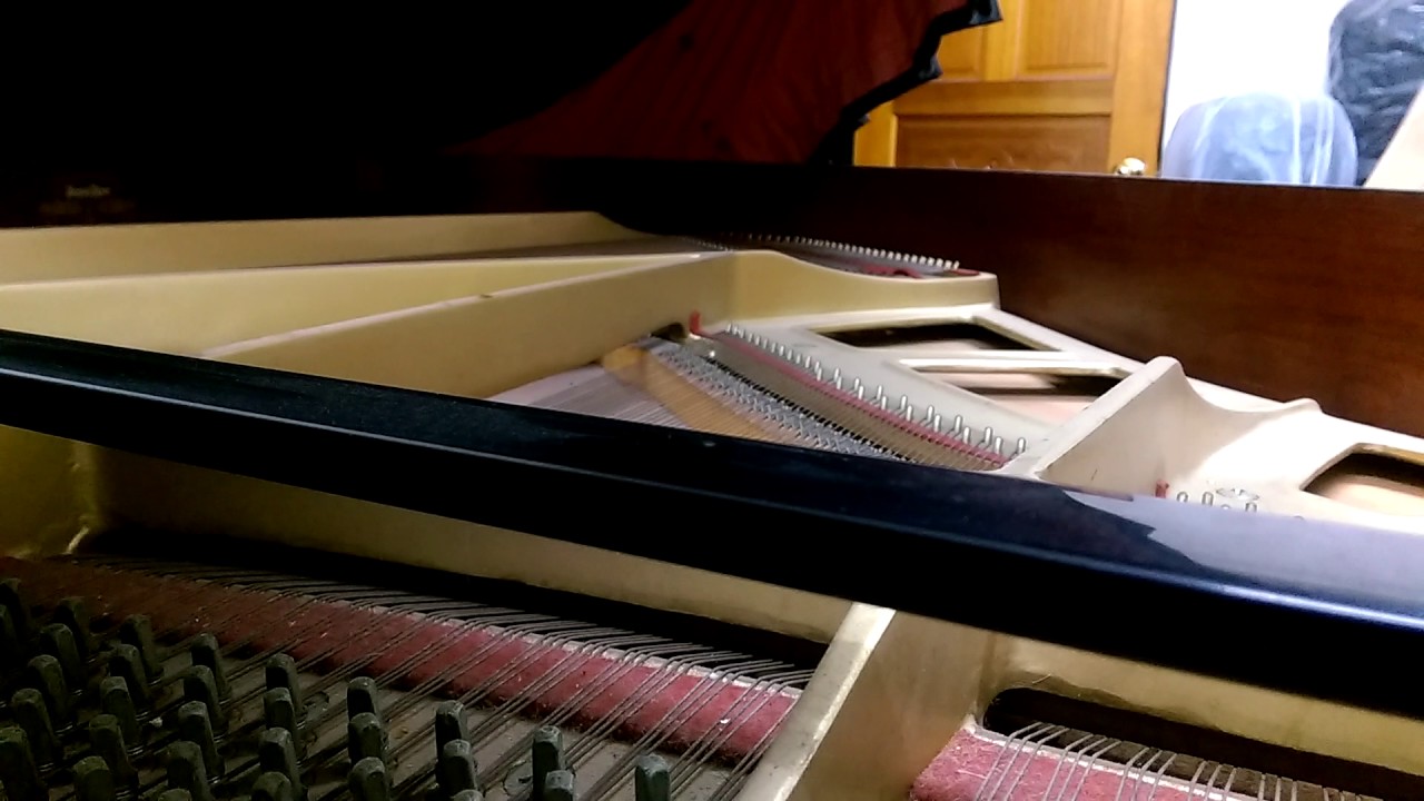 YANNI-First Touch0218