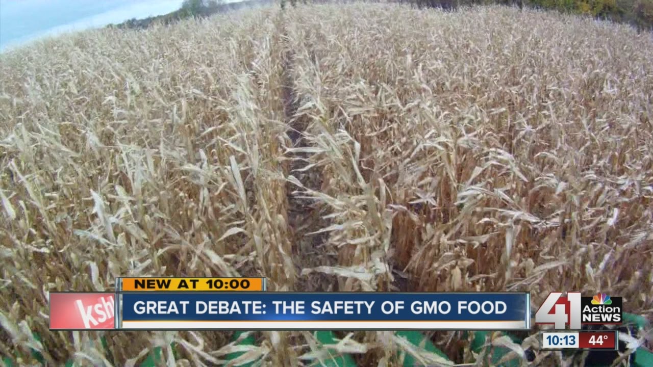 The great GMO foods debate: Are they safe? Are consumers in the dark about what's in our food?