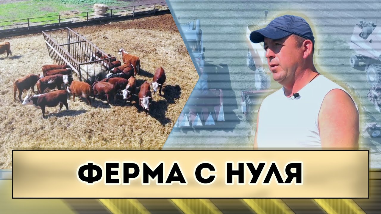 Ферма с нуля...