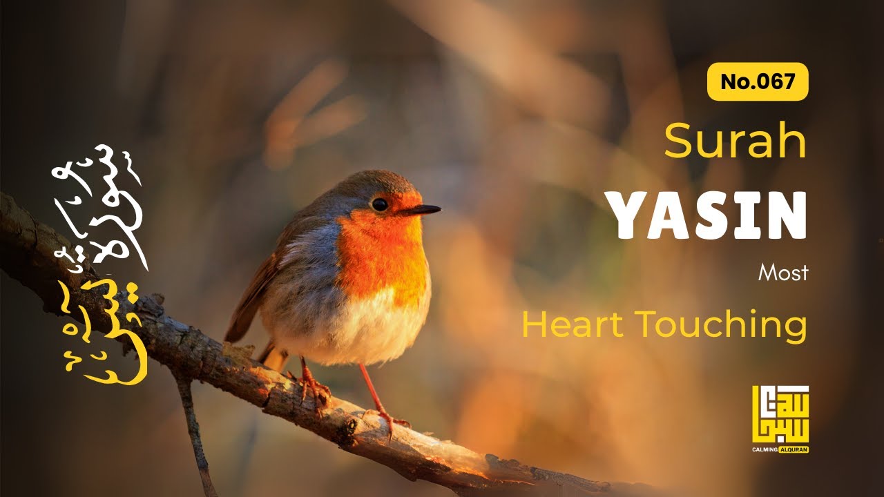 Surah Yasin (Yaseen) سورة يس ✦ Beautiful voice heart touching ✦ Majestic Quran For Sleep ✦ Alaa Aqel