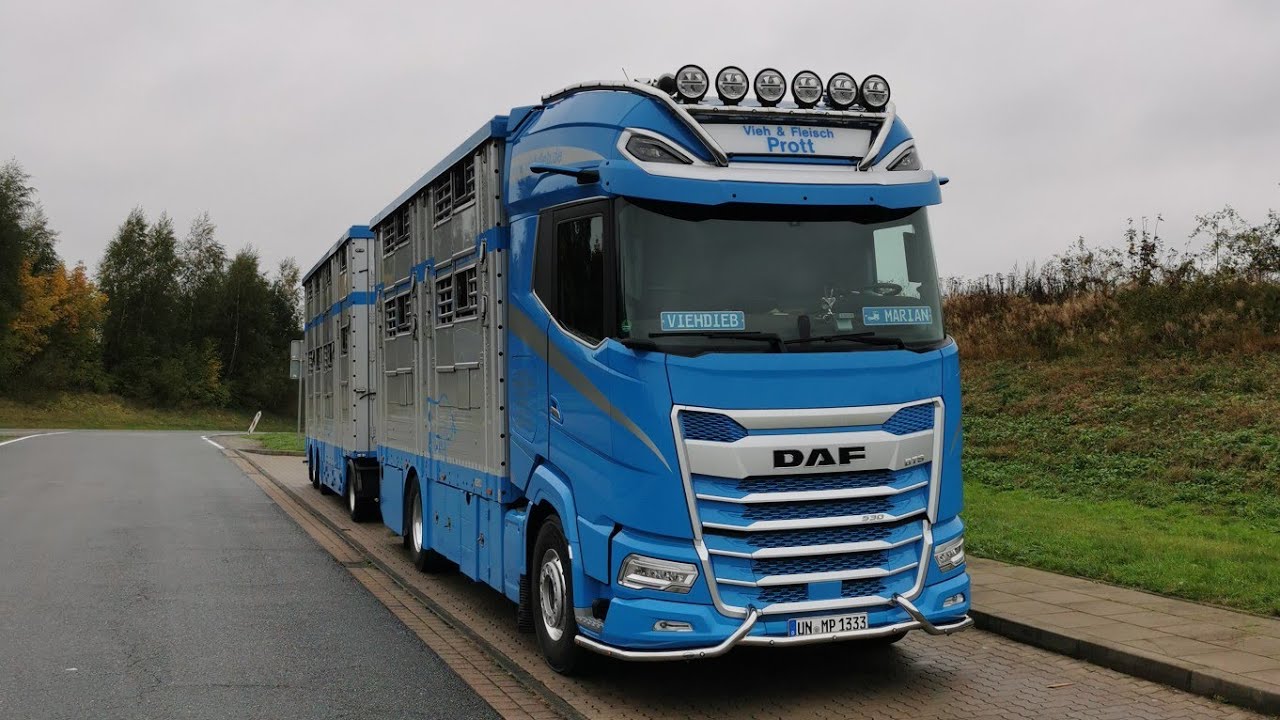 🤠🐂Nach Lübeck 🤠🐂