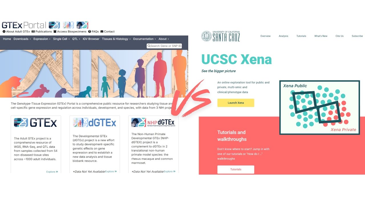 GTEx Vs UCSC Xena Portal | Tissue Expression Data Analysis #biology #bioinformatics #science