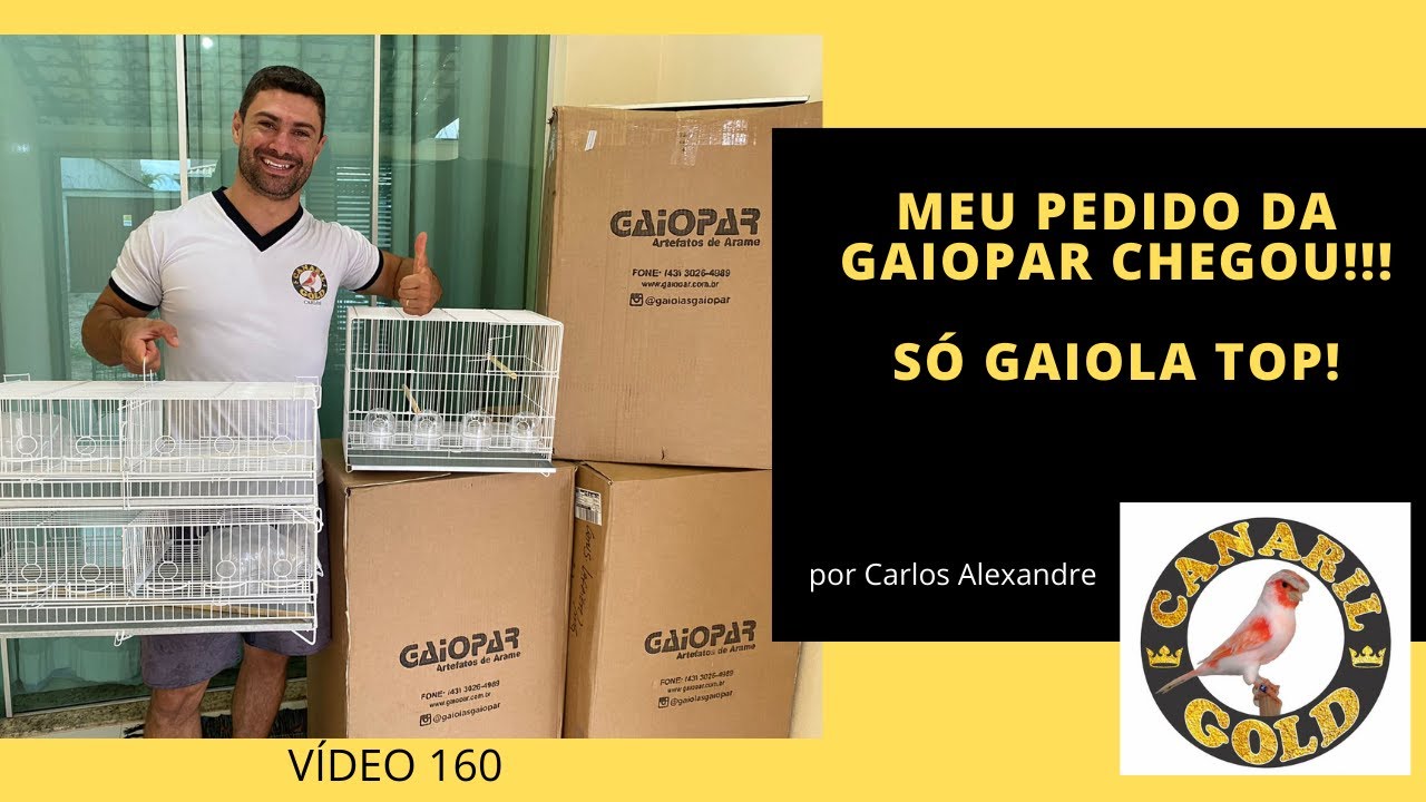 ESSA É A GAIOLA PERFEITA PARA CHOCAR DIAMANTE GOULD!