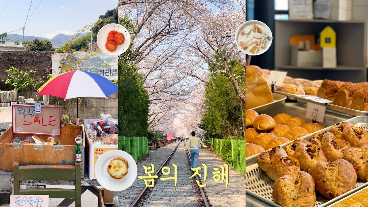 새벽 1시에 출발하는 진해 혼여행🌸 | 57년만에 개방하는 벚꽃군락지 | 총 13곳 네이버지도 공유