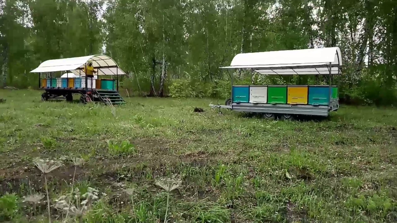 Про весенние работы на пасеке, первый выезд на медосбор, кочевая пасека