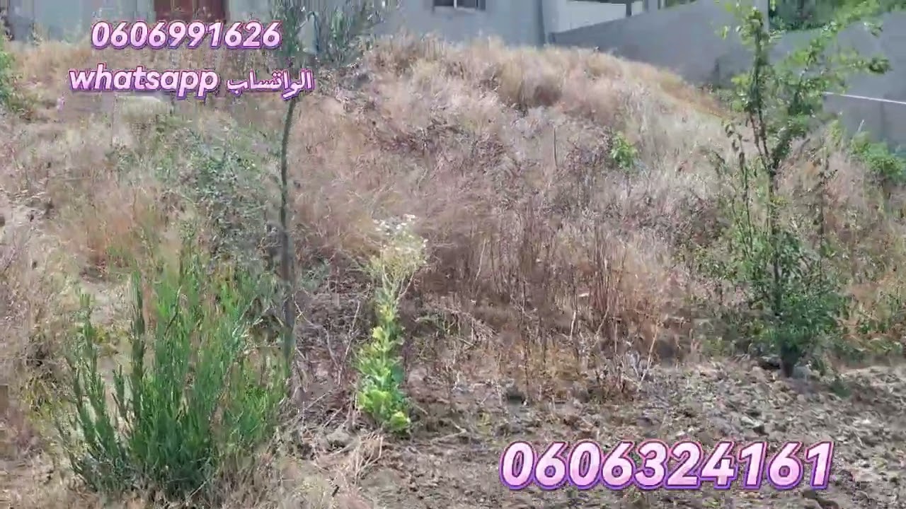 قطعة ارضيه ملكية 3000متر فيها دار 140متر واصلا الماء والضوء والطريق نواحي القصر الصغير 