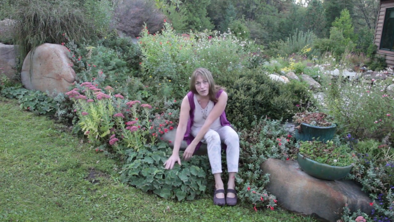 Lady's Mantle Flower Essence